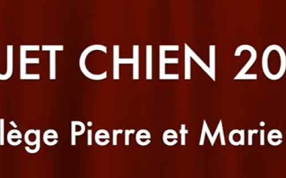 Revue de presse